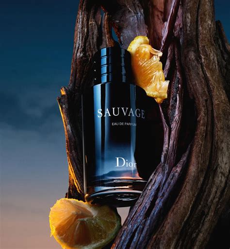 dior sauvage åhlens|dior sauvage vanilla.